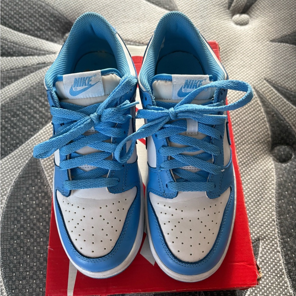 University Blue Dunks